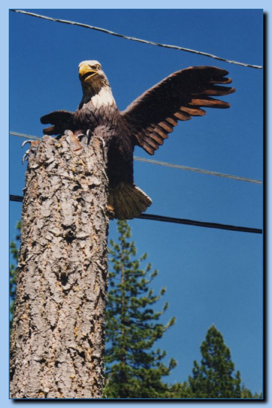 2-31 eagle with wings up, attached-archive-0001